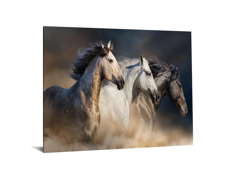 3 Horses Tempered Glass w / Foil Wall Art - Ornate Home