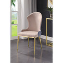 Caolan Side Chair (Set-2) - Ornate Home