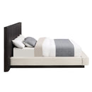Clayten Beige/Espresso Queen Bed - Ornate Home