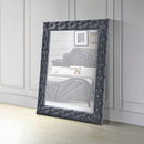 Dante Gray Accent Floor Mirror - Ornate Home