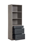 Estevon Bookshelf - Ornate Home