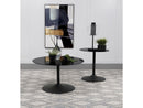 Ganso Black 2-piece Round Glass Top Coffee and End Table Set - Ornate Home