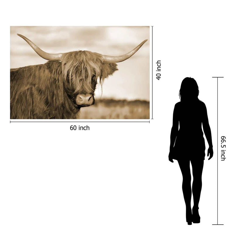 Highland Cow 1 Tempered Glass w / Foil Wall Art - Ornate Home