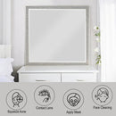 Sliverfluff Champagne Mirror - Ornate Home