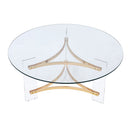 Sosi Coffee Table - Ornate Home