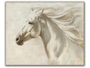 White Horse on White Hand-painted Canvas in Frame Wall Art - Ornate Home