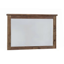 Sutter Creek - Vintage Bourbon - Rectangular Mirror - Ornate Home