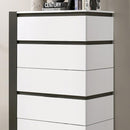 Birsfelden White & Metallic Gray Chest