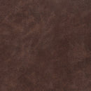 Flamenco - Brown - 2pc Power Living Room Set - Ornate Home