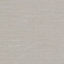 Torin - Chrome - Home Office Chair - Ornate Home