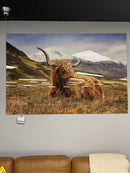 Highland Cow II Tempered Glass w / Foil Wall Art