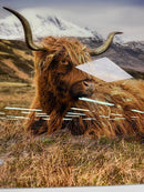 Highland Cow II Tempered Glass w / Foil Wall Art