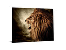 Roaring Lion Tempered Glass w / Foil Wall Art