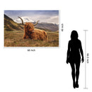 Highland Cow II Tempered Glass w / Foil Wall Art