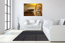 Lion Safari Tempered Glass w / Foil Wall Art