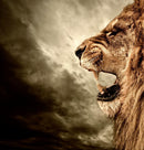 Roaring Lion Tempered Glass w / Foil Wall Art