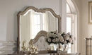 Acme Chelmsford Landscape Mirror in Antique Taupe 26054 - Ornate Home