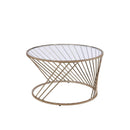 Bluelipe - Champagne Metal & Glass - Coffee Table - Ornate Home