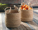 Brayton Basket (Set of 2) - Ornate Home