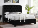 Eva Black Velvet Queen Upholstered Bed - Ornate Home