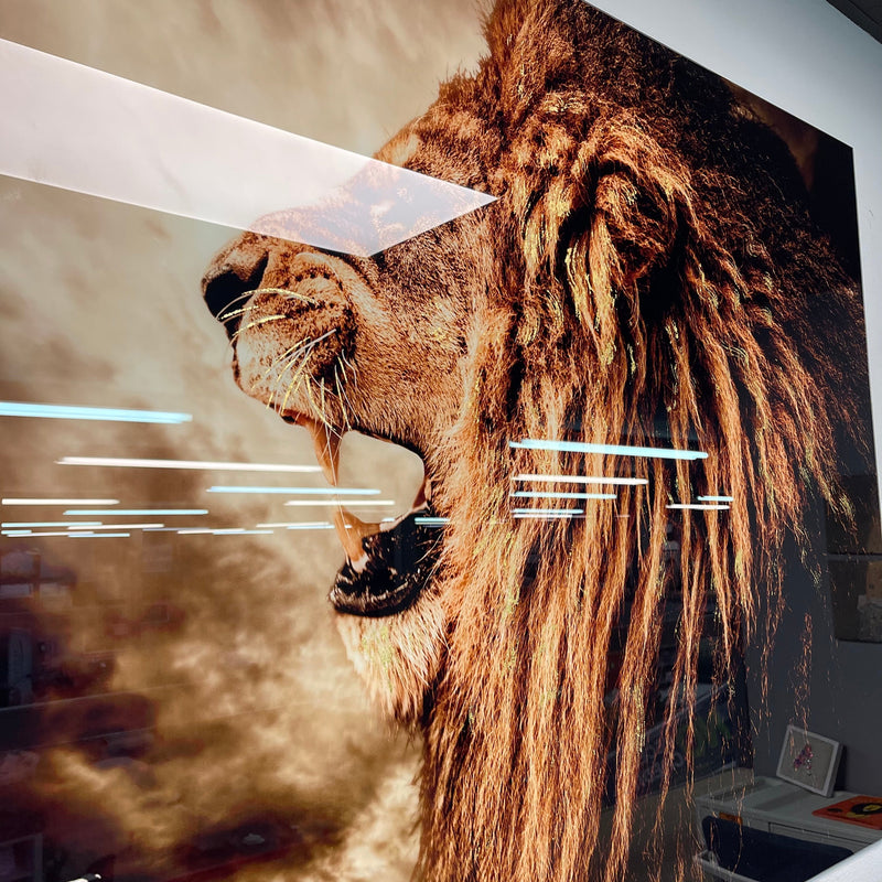 Roaring Lion Tempered Glass w / Foil Wall Art